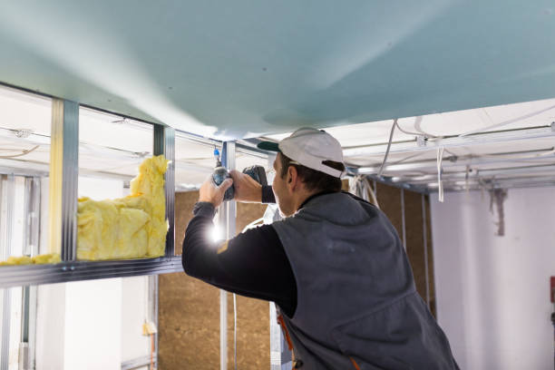 Best Cellulose Insulation in Charlotte, MI