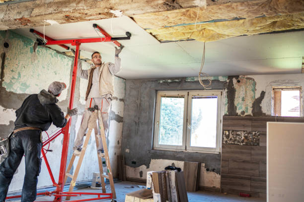 Best Specialized Insulation Services in Charlotte, MI