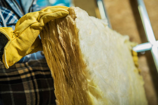 Best Residential Insulation in Charlotte, MI