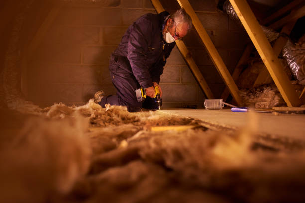 Best Energy Efficiency Insulation in Charlotte, MI